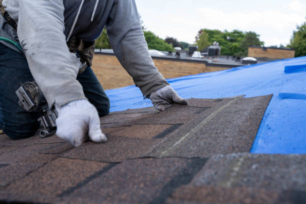 Best New Roof Installation  in Coalville, UT